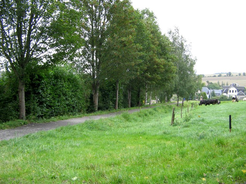 Der Bahndamm der Strecke Thum-Meinersdorf in Jahnsbach, Blick Ri. Thum,