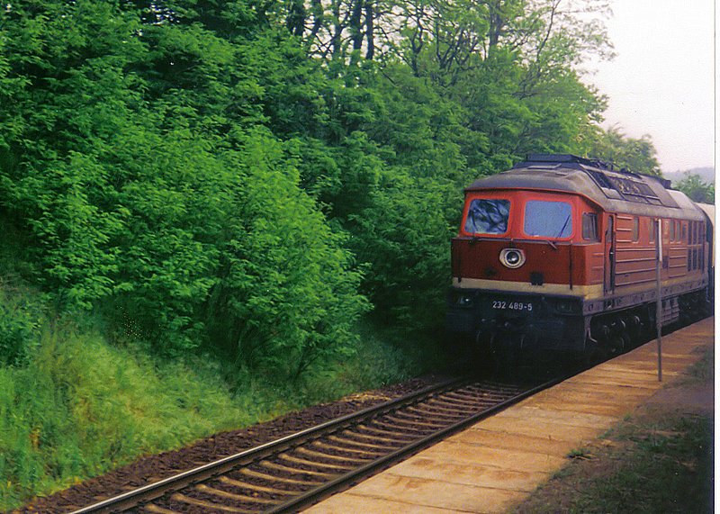 Unweit ihrer Heimatdienststelle Erfurt, war 232 489-5 auf der  Holzlandbahn  (KBS 565) unterwegs. Hier im Mai 1999.
