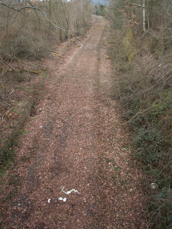 Verbindungskurve Schwarzenacker-Eind; (12/89 abgebaut) mit Blick auf den ehemaligen Abzweig der Strecke nach Bierbach/Reinheim; auf der in den letzten Wochen umfangreiche Freischndeidearbeiten stattfanden, wie auf der weiteren Strecke Schwarzenacker-Homburg/Saar.