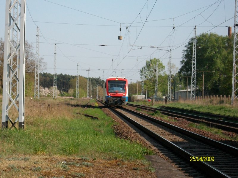 VT 650-03 der Prignitzer Eisenbahn Gesellschaft auf der Fahrt von Berlin Lichtenberg nach Templin Stadt nchster Halt ist Grneberg