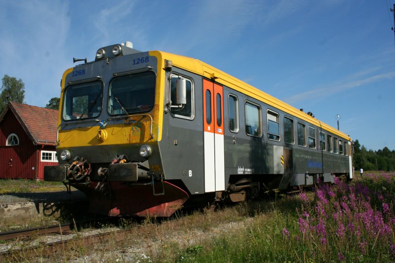 Liegen gebliebener Y1 1268 der Inlandsbanan am 29.7.2008 in �sarna.