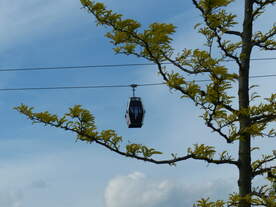 Durch Bäume fliegen - das kann die Seilbahn auf der IGA nicht.