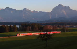 Nachschuss auf den RE München - Füssen bei Füssen.