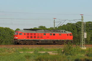 Die 233 698-0 dieselt am 14.05.2018 durch Nassenheide.