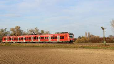 Am 15.11.20 fährt 425 090  Saarlouis  als RB 2 von Biblis nach Mannheim Hbf.