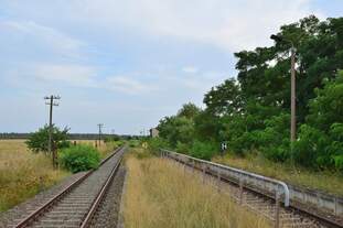 Laußig ist der einzige Bahnhof an der Heidebahn der noch befahren wird wenn auch nicht mehr als solcher genutzt wird, hhier in Blickrichtung Eilenburg.