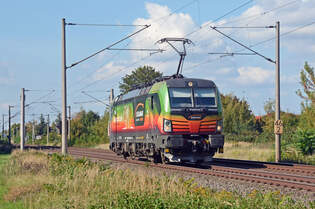 Der Budamar-Braunbr 193 580 rollte am 28.09.25 Lz durch Greppin Richtung Bitterfeld.