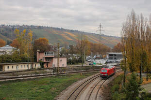 Blick auf 249 048 und die Gleisanlagen im Hafenbereich in Stuttgart-Obertürkheim (08.11.2025)