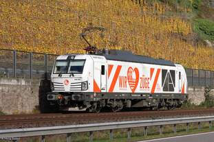 248 081-2  Wir lieben Züge  (HRS - Hamburger Rail Service) am Rhein in Hirzenach, 24.