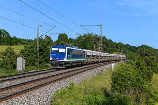 Ein seltener Gast in der Oberpfalz.