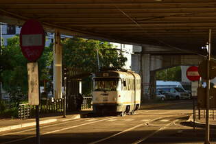 Im Licht der bereits untergehenden Sonne erreicht Triebwagen 3321 auf der Linie 44 die Haltestelle Gara Basarab.