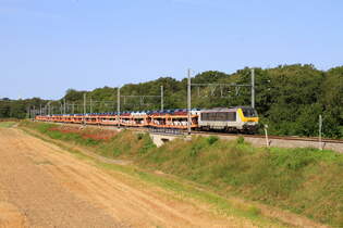 Belgin  Lok 1311 von Lineas, mit ein Autozug in Franire  22/8/2024