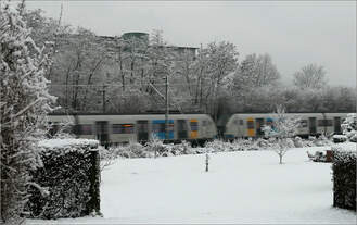 Nur die blauen und gelben Flächen -     ...