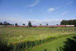 218 105-5 und 218 432-3 ziehen am 03.07.2011 bei Meckenbeuren einen Sonderzug nach Friedrichshafen.