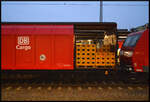 DB Cargo 185 003-1 & 163-3 mit dem Coca-Cola Weihnachtszug am 03.12.2025 in Gieen.