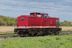298 135 langsam und allein auf dem Gleis Magdeburg nach Dessau im warmen Abendlicht am 21.04.26 bei Roßlau.