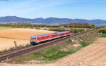628 445 und 628 467 als RE 12019 (Neustadt(W) Hbf - Karlsruhe Hbf) bei Insheim 7.4.26