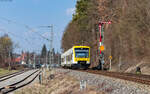 VT 239 und VT 232 als SWE 69733 (Bräunlingen Bf - Rottweil) am Esig Villingen 22.3.26. Die Stelle ist von hintenher legal erreichbar.