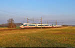 403 025-0 (Tz 325  Ravensburg ) sprintet bei Hohenthurm gen Halle (Saale).