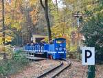Die 312 399-8 der Parkeisenbahn Gera am 31.10.2025 bei der Ausfahrt im Bf Wolfsgehege.