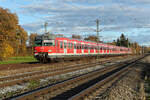 420 963 der S-Bahn Mnchen am 3.11.25 bei Eglharting.