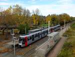 Rheinbahn Tw 4311  Linie U79, D-Universitt Ost  Dsseldorf, Lohausen  05.11.2025
