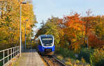  Indian Summer  am Rande des Teutoburger Waldes: Der NordWestBahn-VT 643 317 trifft am 05.11.2025 auf der Fahrt von Bielefeld nach Osnabrck im Haltepunkt Halle (Westf)-OWL-Arena ein