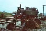 1983: Dampflokfahrt mit Lok 11 (ursprnglich Hohenzollerische Landesbahn) auf der Tlesbahn (WEG) durchgefhrt von der Gesellschaft zur Erhaltung von Schienenfahrzeugen (GES).