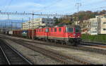 SBB - Loks 420 301 + 420 146 vor Zuckerrbenzug bei der einfahrt in den Bahnhof Lyss am 06.11.2025