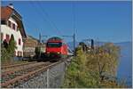 Eine SBB Re 460 ist bei St-Saphorin mit einem IR 90 auf dem Weg von Brig nach Genve Aroport.