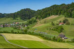 BLS RABe 535 / Bigenthal, 18. Mai 2025Regio Solothurn - Thun