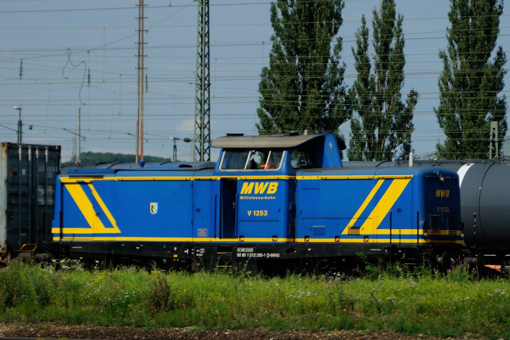 ... die aus der Wildnis kam... V 1253 der MWB (ex DB 212 285-1, Baujahr 1965) im hohen Gras der Regensburg-Ost-Abstellgruppe.