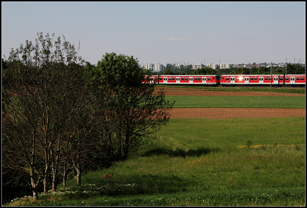 . Da hat kurz die Sonne aufgeblitzt - Eher beilufig fhrt hier ein S-Bahnzug auf der Linie S2 durchs Bild. An der Remsbahn bei Endersbach. Mai 2011 (Matthias)