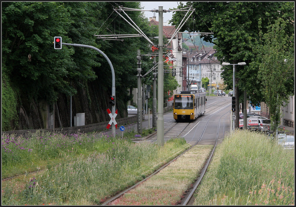 . Der Übergang auf die Wiese - 

In Höhe des Bahnviaduktes der Schusterbahn war dann ausreichend Platz vorhanden um für die Stadtbahn einen eigenen Bahnkörper anzulegen, der wie es in Stuttgart inzwischen Standard geworden ist, als Rasenbahnkörper ausgeführt wurde. Die U2 neben der Schmidener Straße in Stuttgart-Bad Cannstatt. 

31.05.2012 (M)
