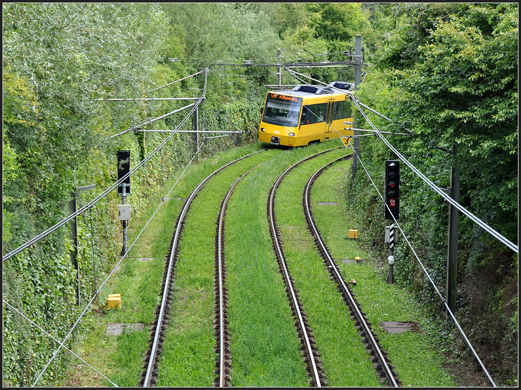 - Etwas gelb im Grün - 

Die Stadtbahnstrecke Eckartshaldenweg - Killesberg ist inzwischen 18 Jahre alt und die Gleise müssen saniert werden. Daher wird die Strecke vom 11. Juli bis Ende November stillgelegt. Die kurvenreiche Strecke hat hier ein Steigung von 7 Prozent. Stuttgart, 

03.07.2011 (J)