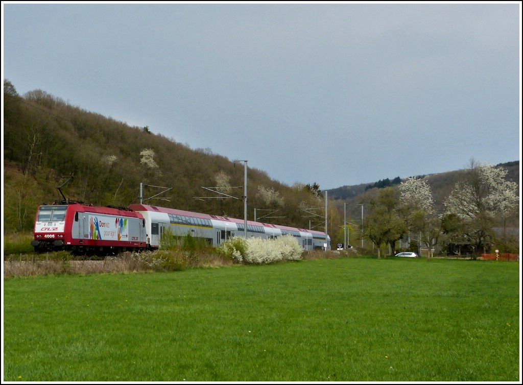 - Fr�hling - Die RB 3212 Luxembourg - Wiltz f�hrt in Erpeldange/Ettelbr�ck an den bl�henden Hecken und B�umen vorbei. 14.04.2012 (Jeanny)