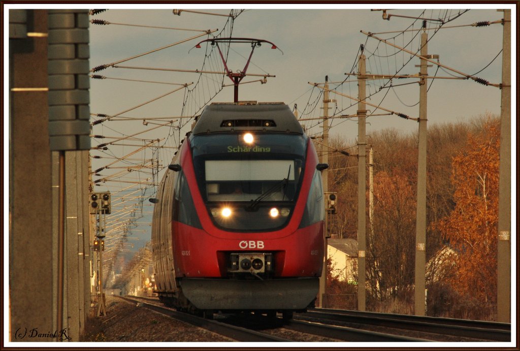 ### Meine Geburtstagstour am 05.11.10 ###
Auch ein Entlein wollte ich nochmal als Tele-Bild erlegen. Da bot sich diese 4024 perfekt an. (Oftering)