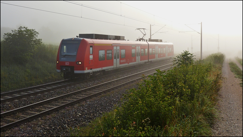 - Morgendlicher Nebel - Zwischen Bietingen und Thayngen taucht pltzlich der Quietschi 426 012-1 aus dem Nebel auf. 17.09.2012 (Hans)