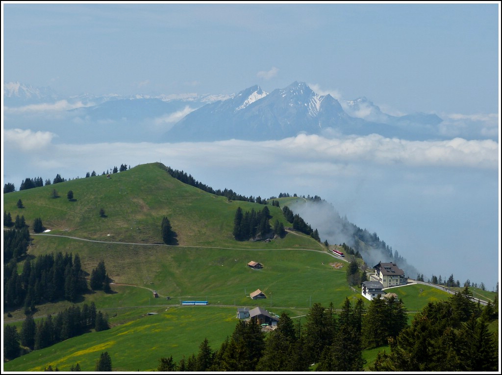 - Suche den Zug - Es sind sogar zwei Rigi Bahnen zu sehen, welche am 24.05.2012 die Haltestelle Rigi-Staffel verlassen haben und sich in Richtung Arth-Goldau, resp. Vitznau bewegen. (Jeanny)  