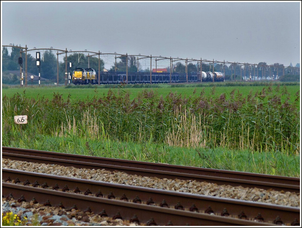 - Unterwegs in Noord-Brabant - Die beiden belgischen Dieselloks 7786 und 7869 ziehen am 02.09.2011 einen Gterzug unter den alten Oberleitungsmasten auf der Strecke Roosendaal- Dordrecht, bevor sie den Gleisbogen in der Nhe von Zevenbergen erreichen. (Jeanny)