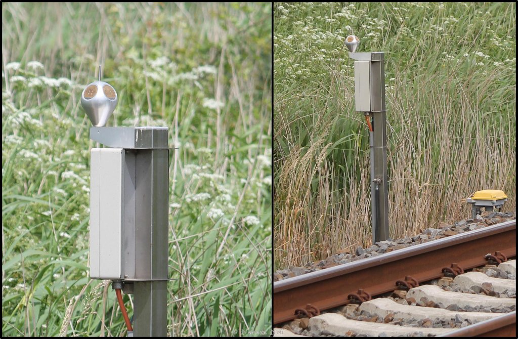 ??? WAS IST DAS ??? gesehen auf dem Wilhelmshavener Industriegleis. 16/06/2013