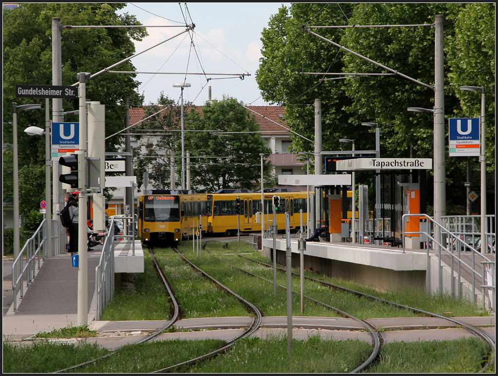 . Zweckbauwerke - 

Die oberirdischen Haltestellen der Stuttgarter Stadtbahn sind gestalterisch eher funktionsorientiert, als schön durchgestaltet. Zwar fährt die Bahn auf einer Wiese durch die Station, doch wird das Bild geprägt durch allerlei Masten für Oberleitungen, Ampeln, Schilder. Die Nachteile einer Hochflurstadtbahn im Vergleich beispielsweise zum Niederflursystem in Straßburg wird hier sehr deutlich.
Im Bild die Haltestelle Tapachstraße in Stuttgart-Rot. Die Bahnsteige wurden hier für die Doppeltraktionszüge der Linie U7 kürzlich verlängert, die U7 fährt seit Ende 2010 auf diesem Streckenast. 

07.06.2011 (M)