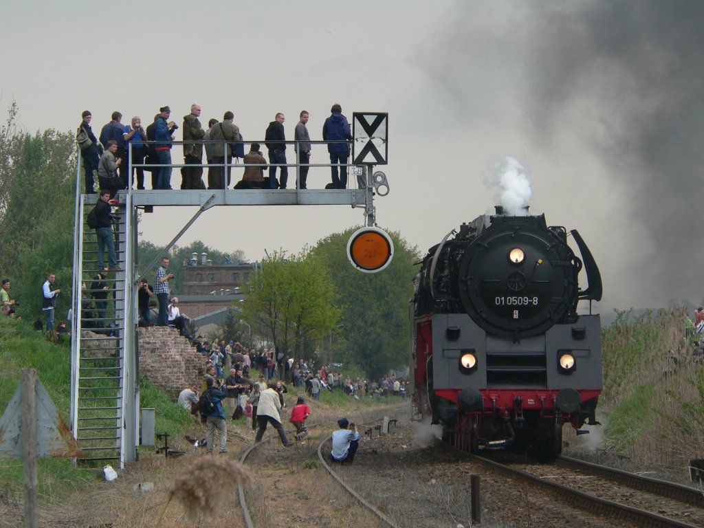 01 0509-8 an der Wolsztyner Signalbrcke. Dieses Jahr kam nur ein Zug aus Deutschland nach Polen. Der Berliner Zug fuhr - wegen Waldbrandstufe 5 mit der Diesellok 119 158 - bis Cottbus. Die Cottbuser Strecke wurde gewhlt, weil im Berliner Bereich Bauarbeiten den Zugverkehr nach Frankfurt (Oder) verhinderten. Damit auch die aus Berlin anreisenden in den Genuss einer Dampflokfahrt kommen, stiegen sie in Cottbus in den von dort anreisenden Zug ein, es wurde gemtlich, aber jeder bekam einen Sitzplatz. 01 509-8 hatte in Wolsztyn einen Defekt, daher fuhr der deutsche Zug dann mit polnischen Dieselloks zurck. 1.5.2010