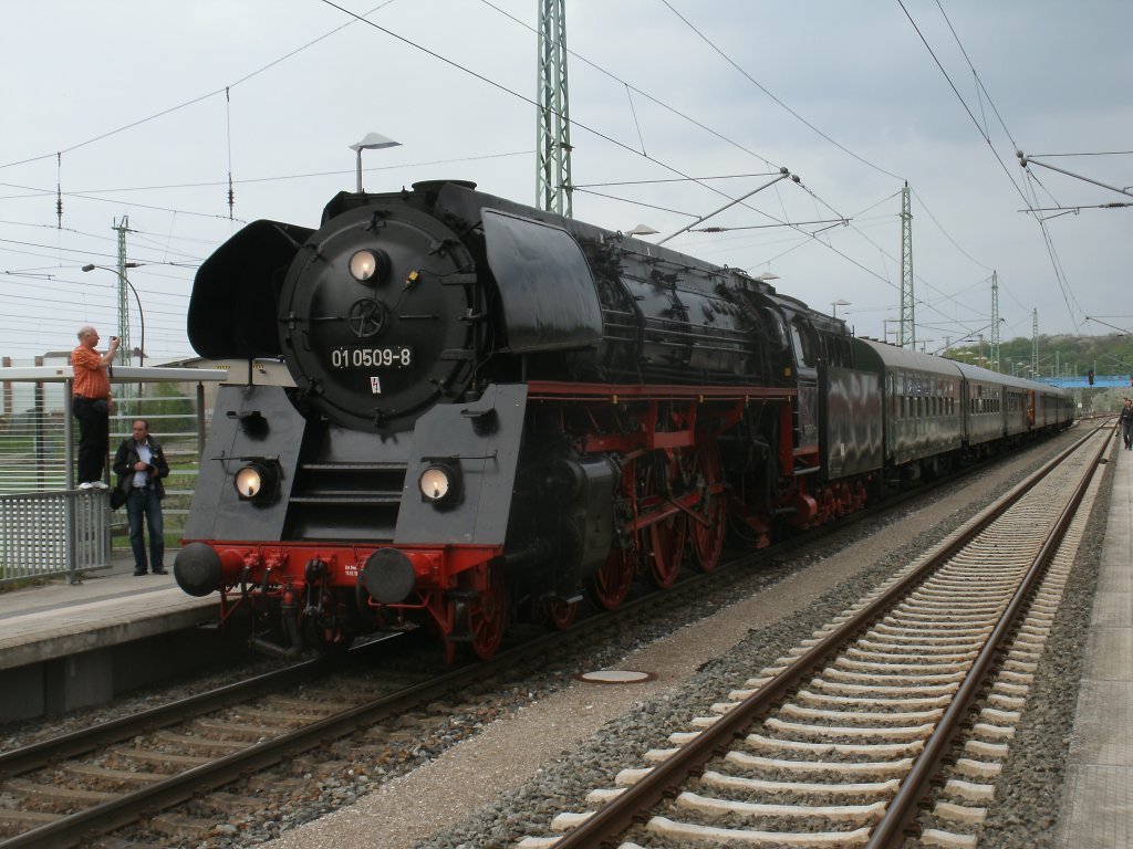 01 0509 als Zuglok vor dem Sonderzug Binz-Cottbus am 11.Mai 2013 in Bergen/Rgen.In diesem Jahr fuhr die Lok solo zum Bahnhofsfest nach Putbus. 