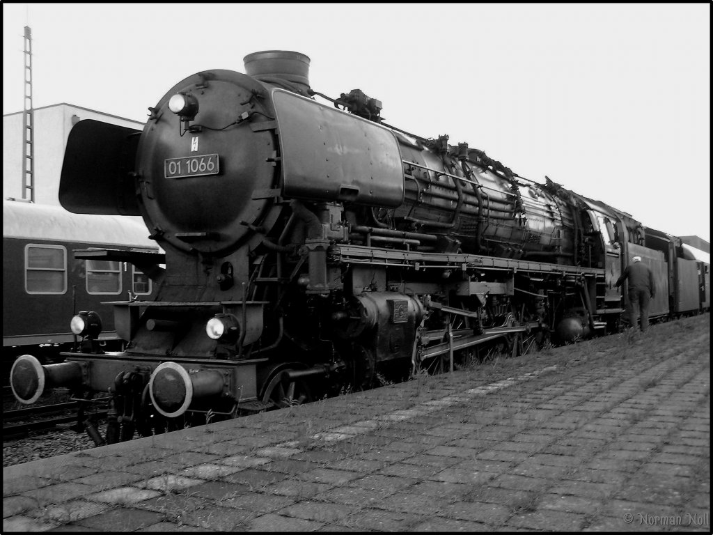 01 1066 am Morgen des 19.06.10 mit Ihrem Sonderzug im Bf Wilhelmshaven 
