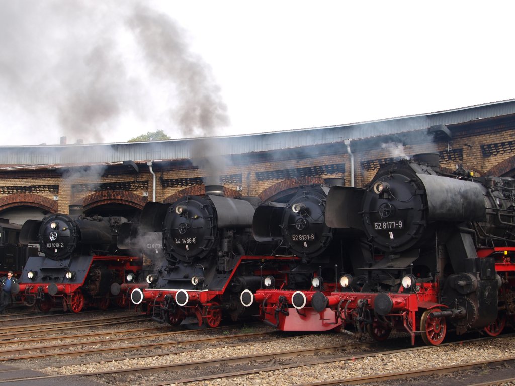 03 1010-2 aus Halle/Saale, 52 8173-8 (versteckt), 44 1486-8 der Eisenbahnfreunde Staßfurt e.V., 52 8131-6 der Wedler und Franz GbR (WFL) sowie 52 8177-9 der Eisenbahnfreunde Berlin zusammen am 09.09.2012 beim 9.Berliner Eisenbahnfest im Bahnbetriebswerk Schöneweide.