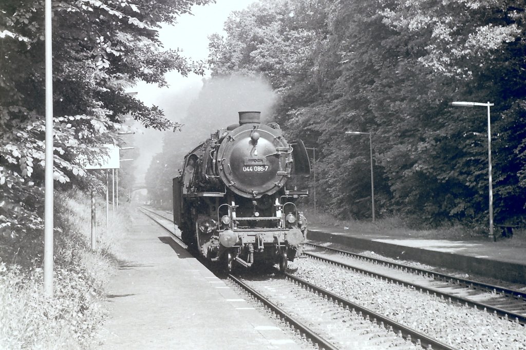 044 086-7 am Haltepunkt Erlenstegen auf der Leerfahrt nach Nrnberg. Aufgenommen Anfang der 70er Jahre. 