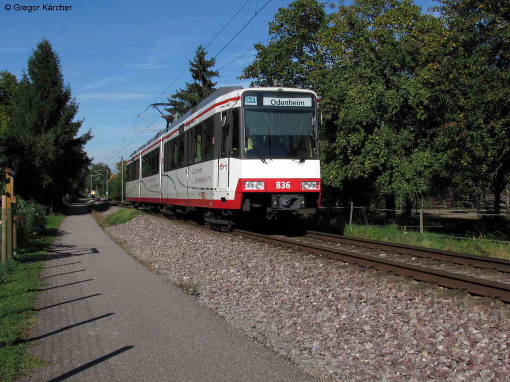 06.10.2010: TW 836 ist einer der wenigen weien Triebwagen mit KVV-Eigenwerbung im Fuhrpark der AVG. An diesem sonnigen Tag konnte ich ihn als S31 nach Odenheim zwischen Ubstadt Ort und Ubstadt-Uhlandstrae fotografieren.