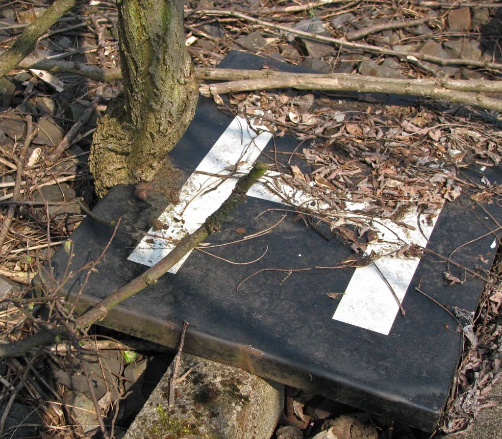 07.04.2009, ehem Bf Podelzig, Strecke 6523 (Frankfurt/O. - Kietz). Was nicht gebraucht wird, kann zuwachsen