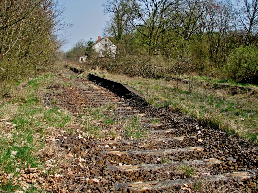 07.04.2009, Podelzig, Strecke 6523 (Frankfurt/O, - Kietz). Blick von der B 112 auf die Bahnhofsreste